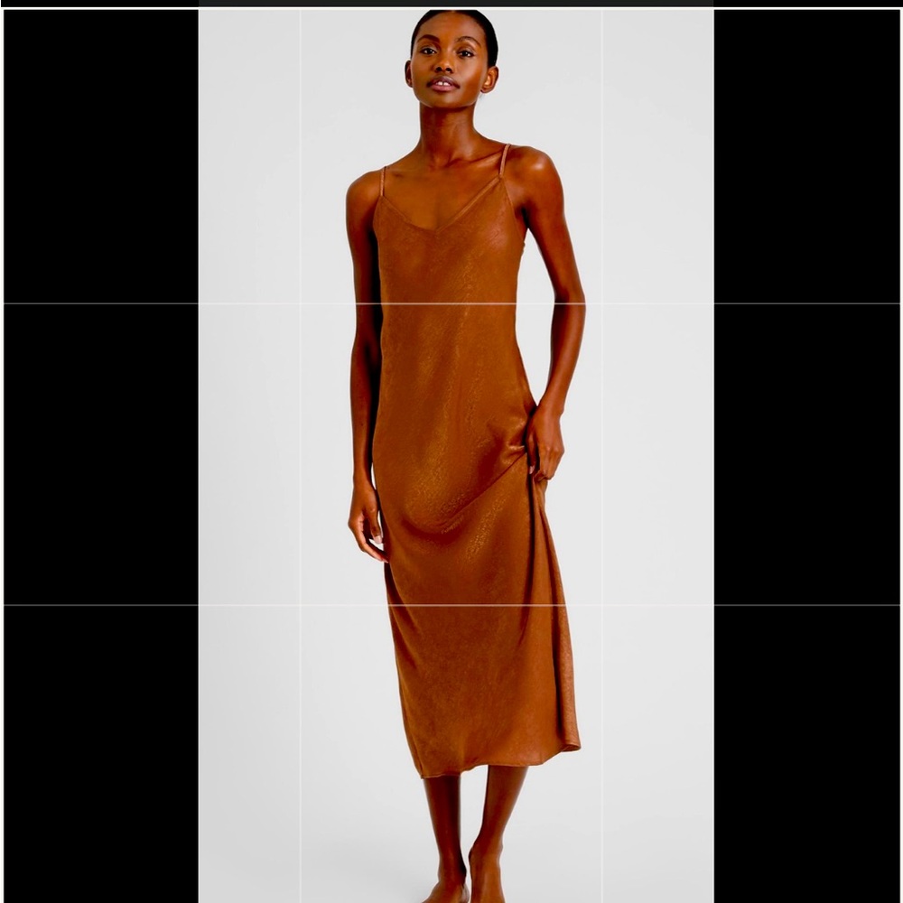 Banana Republic Factory Women's Brown True Hues Slip Dress